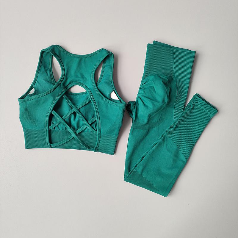 Women's Quick-Dry Seamless Sports Bra and Leggings Set - Shockproof Vest for Running and Yoga