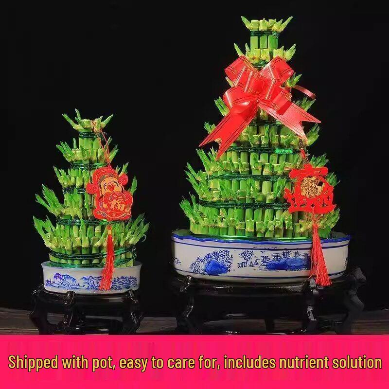 Prosperity Bamboo Tower: Hydroponic Indoor Plant for Wealth and Fortune