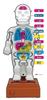 MegaHouse Super Crush Human Body Model Action Game Ages 6 and Up