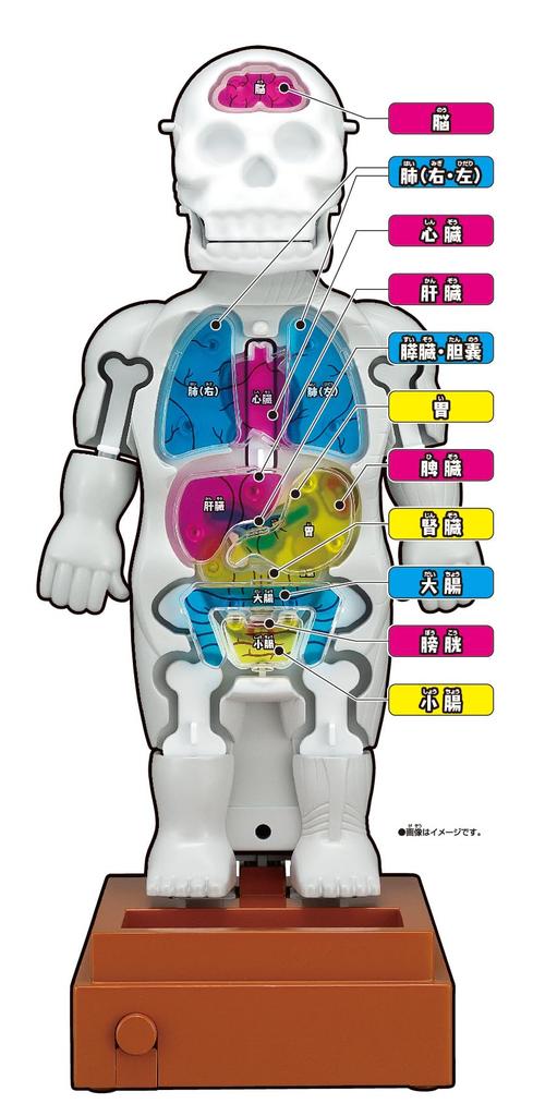 MegaHouse Super Crush Human Body Model Action Game Ages 6 and Up