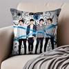 Pop Punk Australian Band 5 S-Seconds Of Summer Cushion Cover Pillowcase Anti-Dustmite Invisible Zipper Short Plush Sofa Cushion