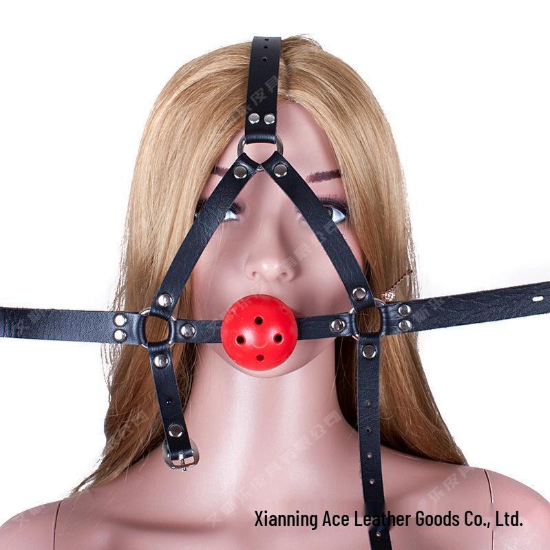 Ice Adult Red Ball Gag: Erotic Mesh Mouth Plug and Training Restraint