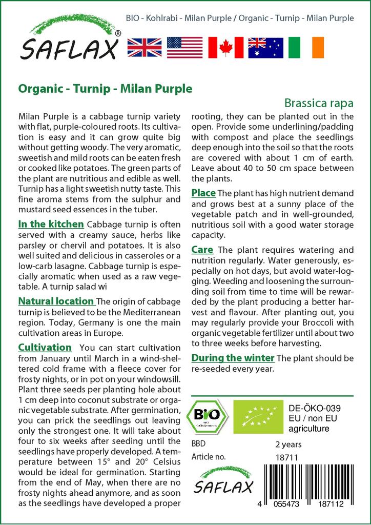 SAFLAX Organic - Turnip - Milan Purple - 600 Seeds - With Potting Substrate for Better Cultivation - Brassica Rapa