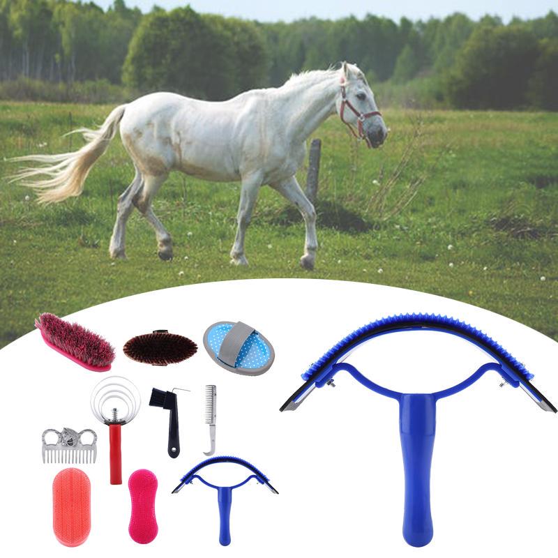 Buy 10Pcs Horse Grooming Care Kit Equestrain Brush Curry Comb Horse