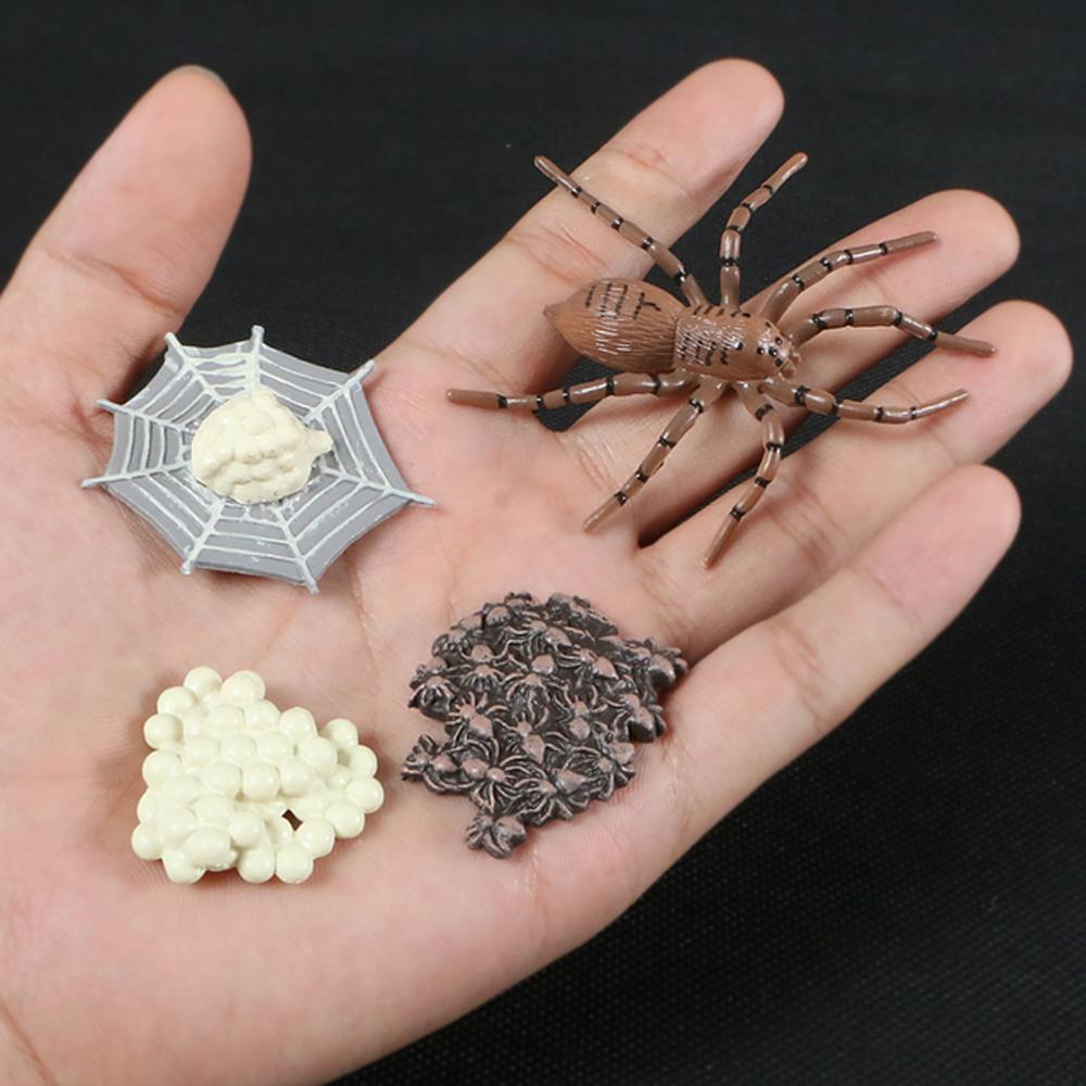 Butterfly Growth Cycle Action Figures Growth Cycle Model Life Cycle Figurine Simulation Animals