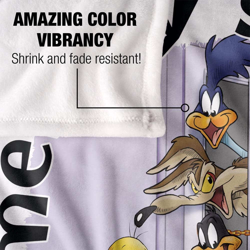 Looney Tunes Did Somebody Say Party? Blanket
