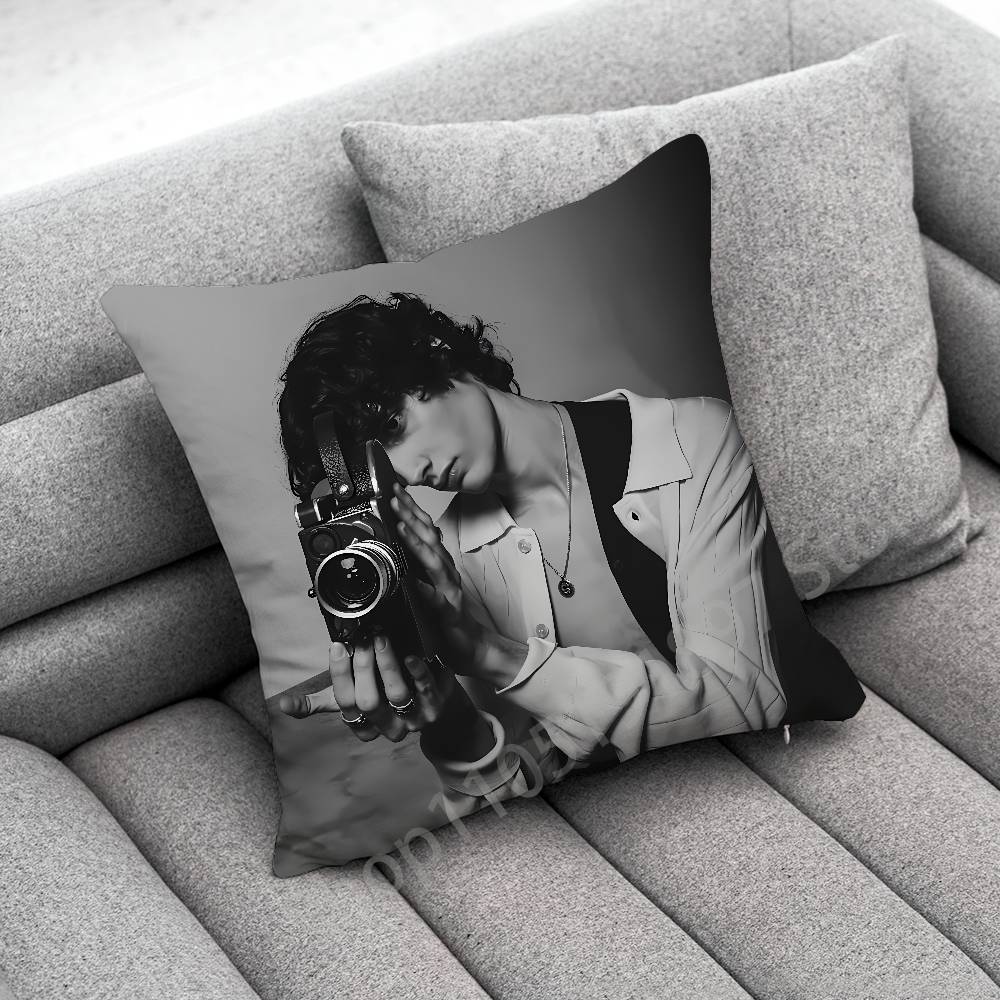 S-Sombr Back to Friends I Barely Know Her Throw Pillow Case For 30cm 40cm 45cm 50cm 55cm Square Sofa Pillowcase Shell