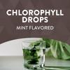 Nature's Way, Chlorfresh, Chlorophyll-Tropfen, Minzgeschmack, 2 fl oz (59 ml)