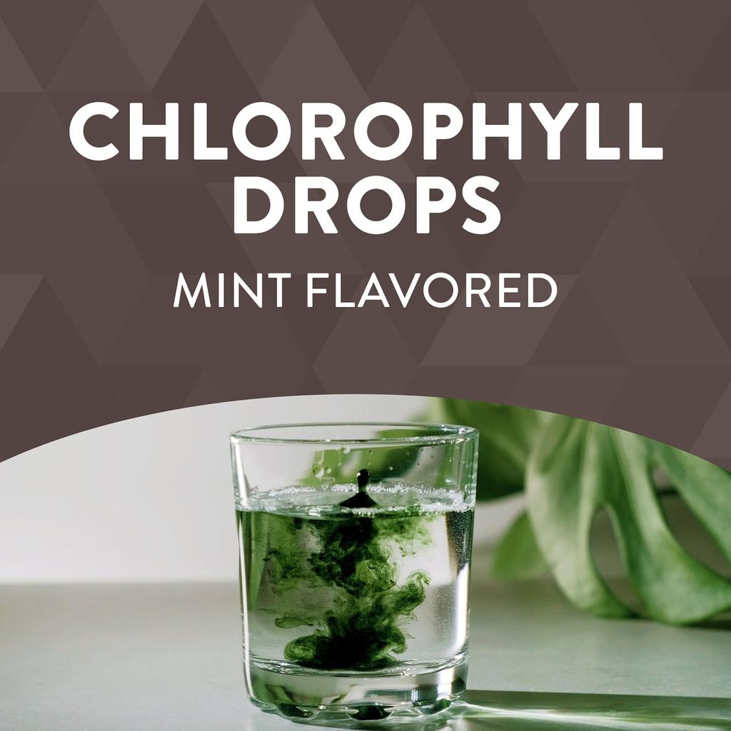 Nature's Way, Chlorfresh, Chlorophyll-Tropfen, Minzgeschmack, 2 fl oz (59 ml)