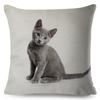 Cute Cat Pillowcase Decor Lovely Pet Animal Print Cojines Cushion Cover Polyester Pillow Case for Home Sofa Children Room 45x45