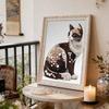 Pearl Painting Kit Domestic Cat Theme Frameless Handicraft DIY Bedroom Decoration Living Room Wall Art Room Decoration Art Craft Decoration