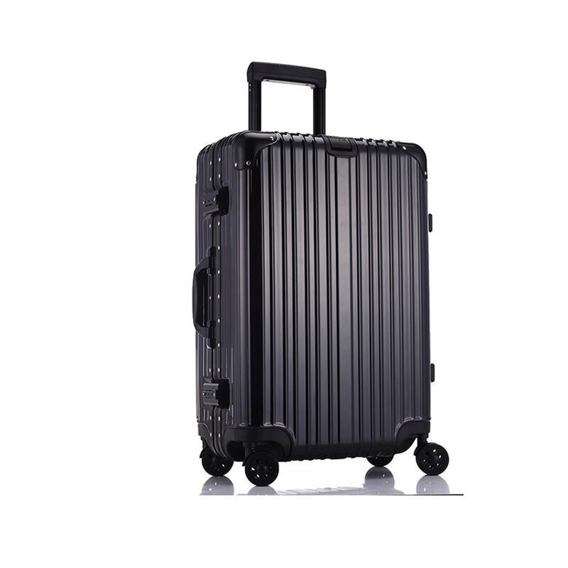 DREAMGIFT Business Aluminum-Frame Hardside Spinner Suitcase