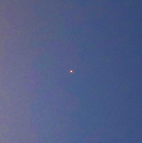 

CD NAGISA NITE Daremo Shiranai PCD27034 PVINE 2017 Japan Obi Japanese PopRock