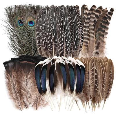40/48Pcs Assorted Mixed Feathers Long Pheasant Plumage Peacock Feathers  Handmade Dream Catcher