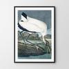 Vintage Poster Large Bird