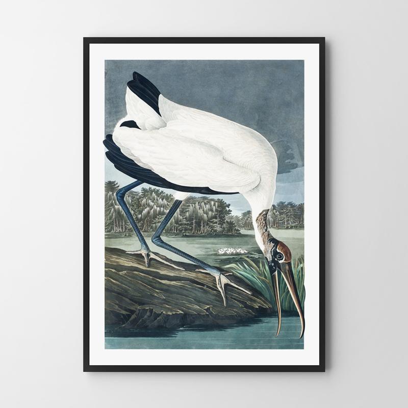 Vintage Poster Large Bird