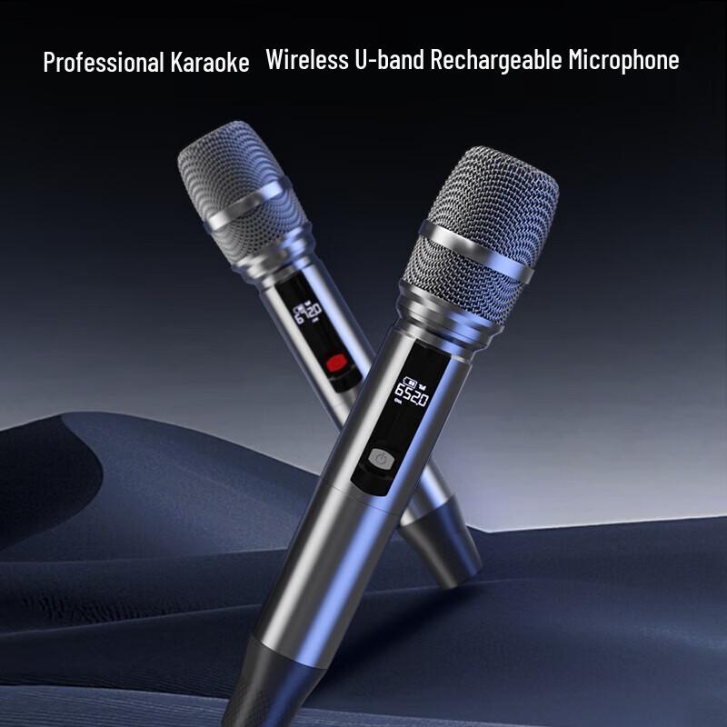 Newman N550 12-inch Outdoor Portable Bluetooth Speaker