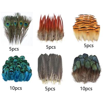 40/48Pcs Assorted Natural Feathers Bulk Long Big Feathers Mixed Feathers 6 Styles Multi-purpose Pheasant Plumage