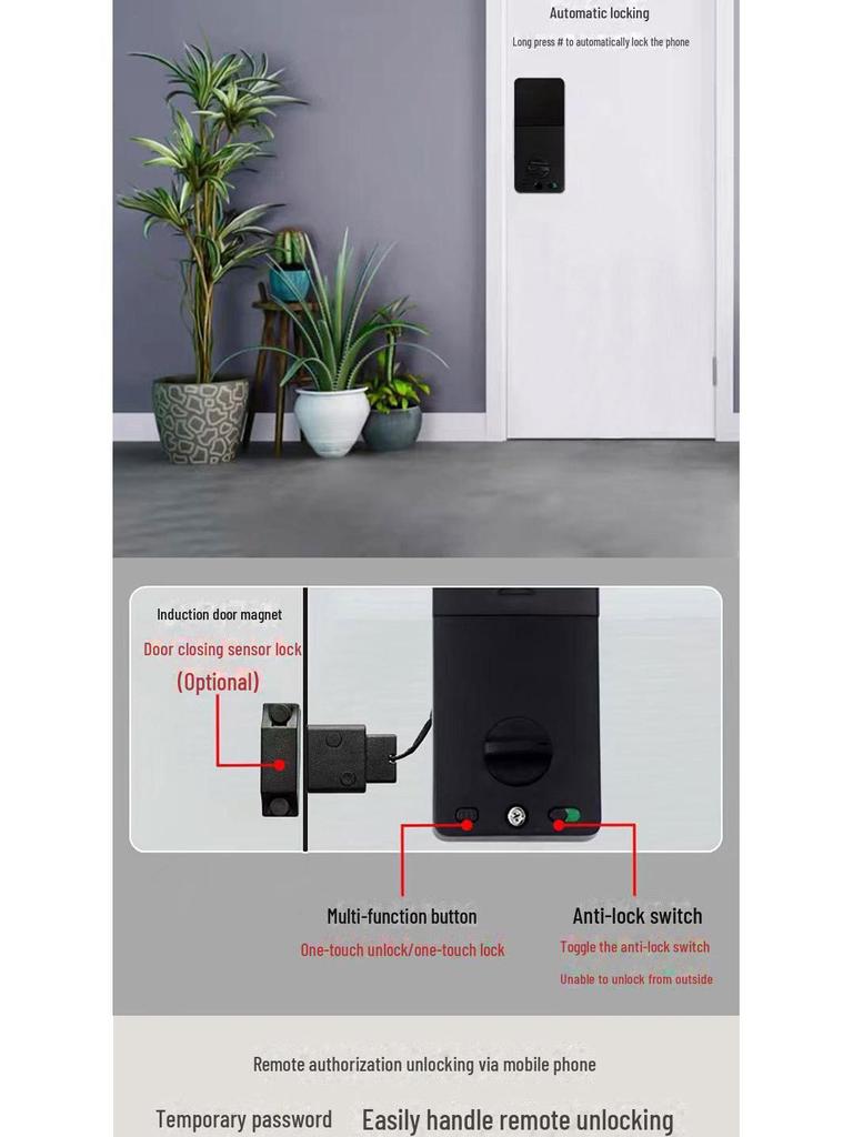 Smart WiFi Graffiti Lock: Electronic Deadbolt for Wooden Doors with Fingerprint, Key Card, and Password Access