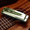 Swan Harmonica 24 Hole Beginner Music Instrument With Silver Cover For Students And Adults