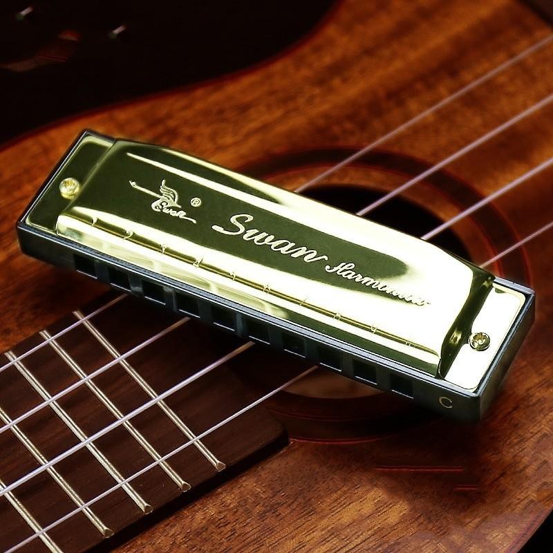Swan Harmonica 24 Hole Beginner Music Instrument With Silver Cover For Students And Adults