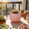 3D Printed Creative Piggy Pen Holder & Vase - Unique Pig Shape for Small Plants & Home Decor.