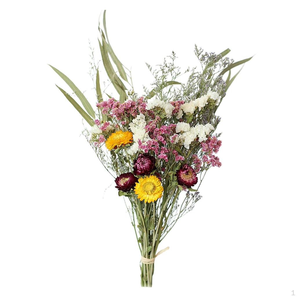 Eucalyptus Daisy Dried Plants Flower Ornaments Handmade for Heimwerken Vase Wedding Party