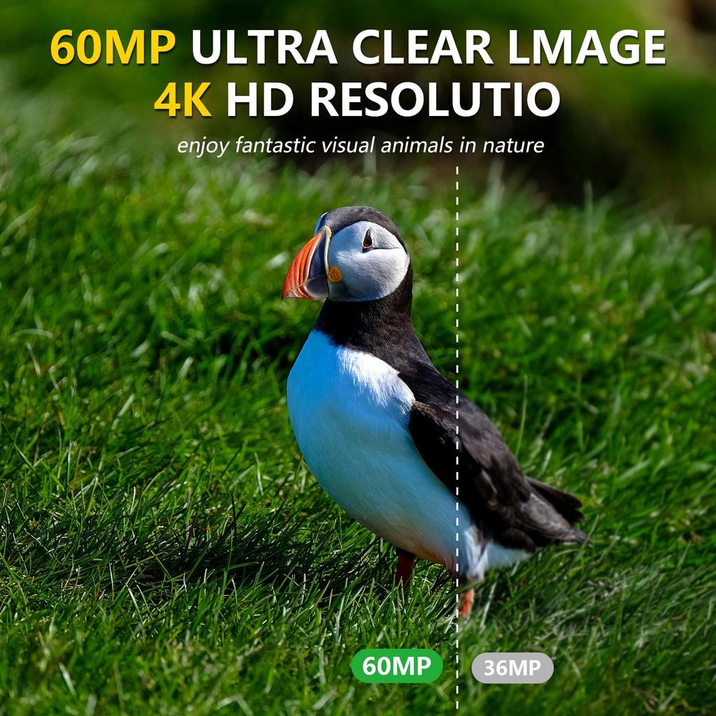 Solar-Powered HD WiFi Hunting Camera: Waterproof, Infrared, Motion Detection.