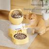 Cat & Dog Automatic Puzzle Feeder with Large Capacity Bowls