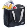 Thermal Insulated Beach Bag, Tourist, Travel, Picnic 30L