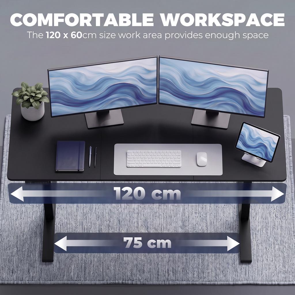 Electric Standing Desk Height Adjustable 120 X 60cm, Black