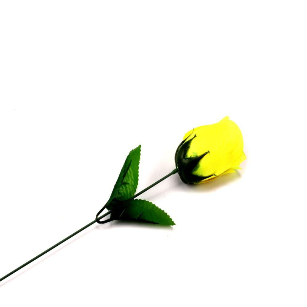 Colorful Rose Discoloration Roses Red Change Yellow Changing Color Rose  Player Magic Props
