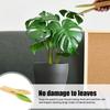Leaf Cleaning Tongs,Plant Leaf Cleaning Tongs, Plant Leaf Cleaning Brush with Wood Handle, Leaf Cleaning Tool, Safely Removes Du