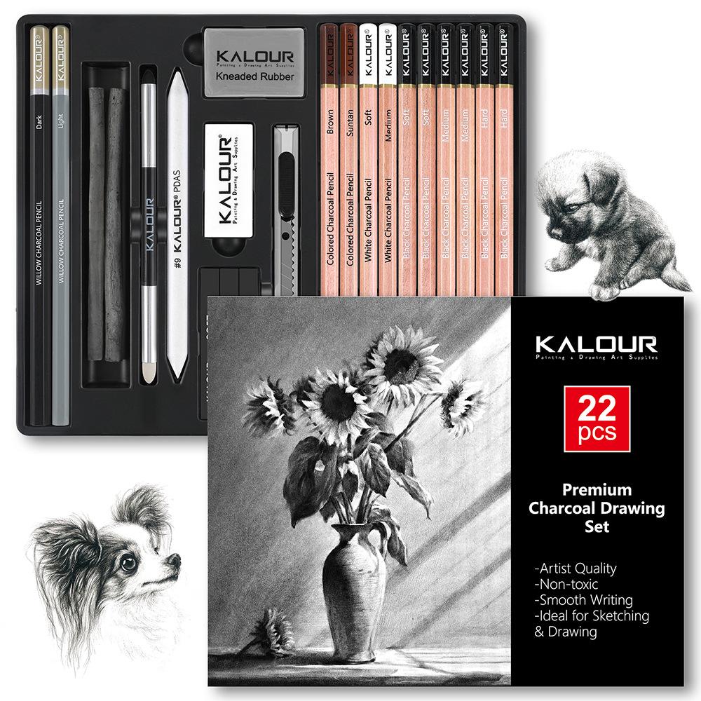 KALOUR 22-Piece Charcoal Sketching Pencil Set