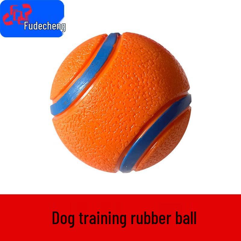 Outdoor Dog Agility Training Obstacles