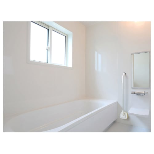 AISEN Magnetic Bath Brush Trepica Replacement BMG02 (1 piece)