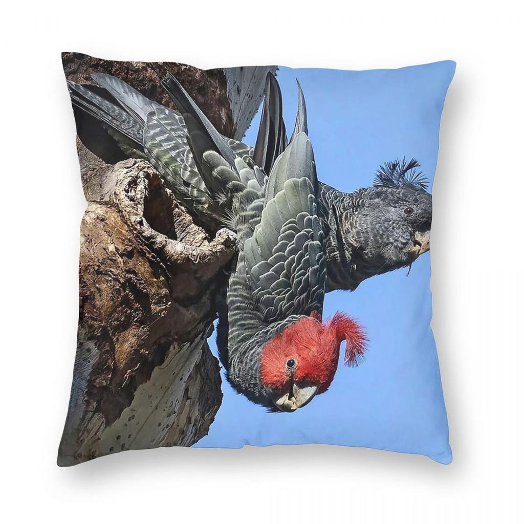 A Pair Of Gang-Gang Cockatoos Pillowcase Polyester Linen Velvet Creative Zip Decor Home Cushion Cover