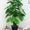 Artificial Bonsai Flower Indoor Decoration - Large Green Potted Plant with Drooping Guanyin Leaves for Living Room Ornaments.