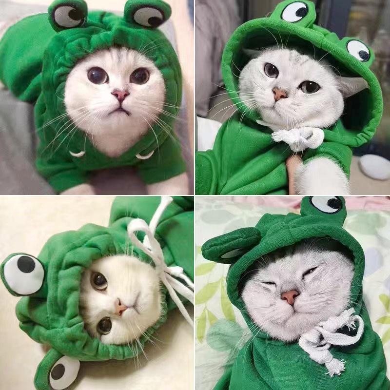 1 Stück Haustier Katze Hund Universal Ärmelloser Hoodie, Niedlicher Kuhdruck Cartoon 3D Cosplay Sweatshirt Für Haustiere