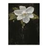 Retro Painting French Flora Vintage Poster and Prints Victorian Still Life Flower Rose Canvas Painting Decoraiton Living Room