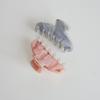 Imitation Acetate Jelly Color Hair Clip Women's High-end Hair Shark Clip Temperament Hair Accessories