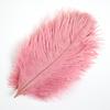 10Pcs Natural White Ostrich Feathers 10-15cm 15-20cm 25-30cm 30-35cm Wedding Party Home Decoration Ostrich Plumes Craft Supplies