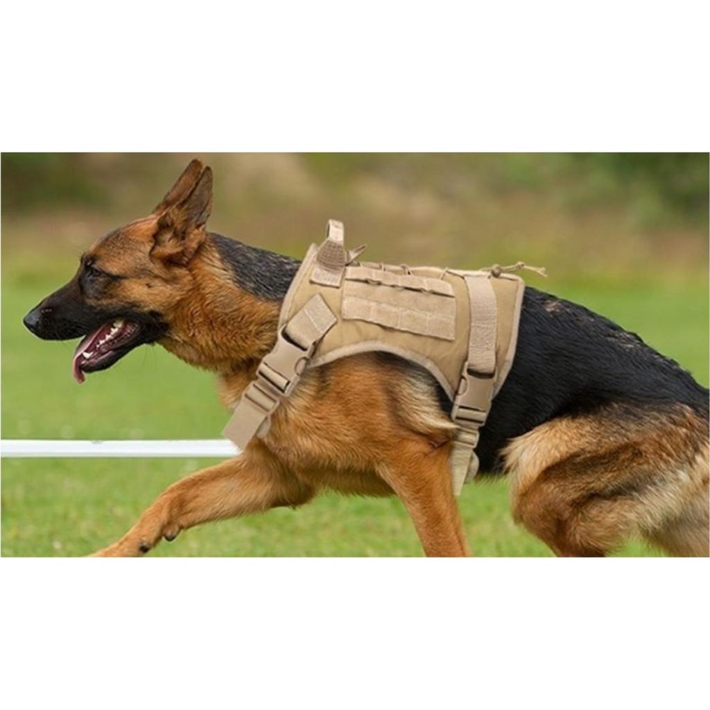 Arm Dog Military Medium Dog Size M King's Anti-Pull Harness, Adjustable, Style, Training, Walking, (Brown)