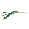 Kitchen Decoration Realistic Artificial Green Onion Plant Fake Simulation Vegetable PU Imitation Scallions Model Counter