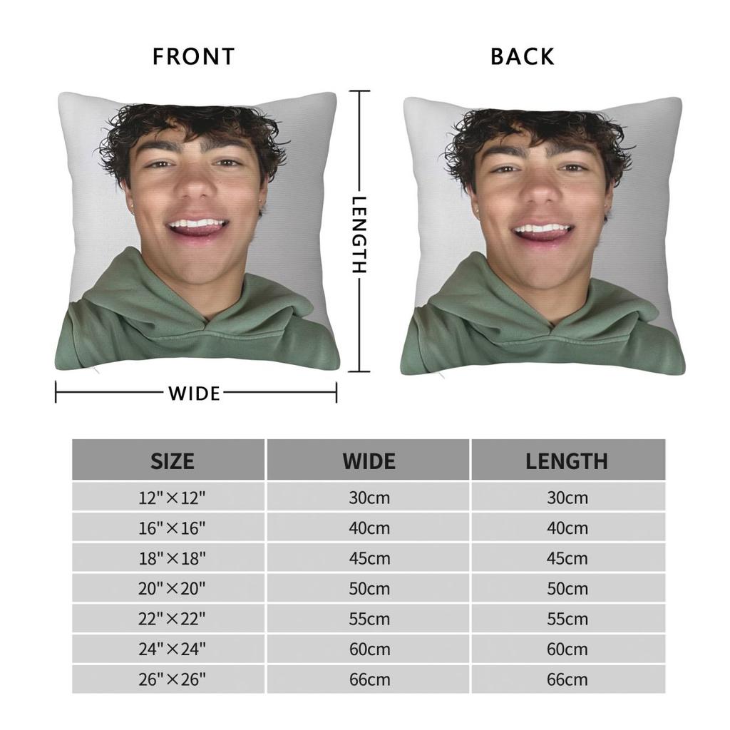 Malachi Barton Kissenbezug Druck Polyester Kissenbezug Dekorationen Kissenhülle Zuhause Mit Reißverschluss 40X40Cm
