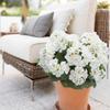 Flores de Hortensia Artificiales Multicolor Toque Real Arreglos Florales Flores de Hortensia Falsas con Tallos Flores de Seda