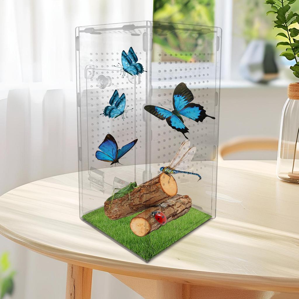 Small Reptile Feeding Box Acrylic Transparent Terrarium Habitat For Frog Insect Spider Lizard Scorpion Breeding Arboreal Cage