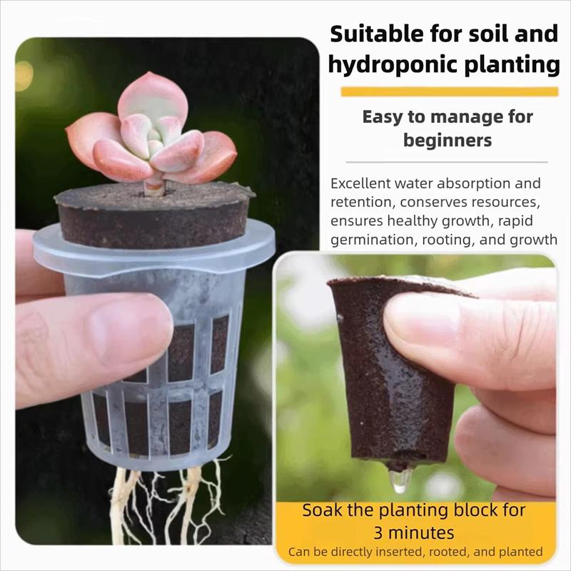 1/3Sets Plastic Material Hydroponic Seed Planter Pots Reusable Seedling Baskets Transparent Root View Cups Succulents Growing