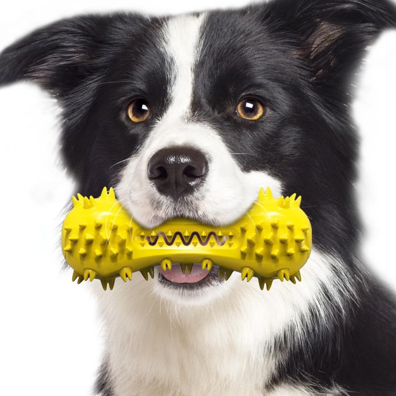 Hundespielzeug, Geräusche machende Hanteln, Beißstäbe, Hundezahnreinigungsknochen, Zahnbürsten, Haustierbedarf