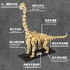 Dinosaur Skeleton Fossils Building Blocks Jurassic Park World Tyrannosaurus Rex Model Bricks Toys For Children Boy Gifts